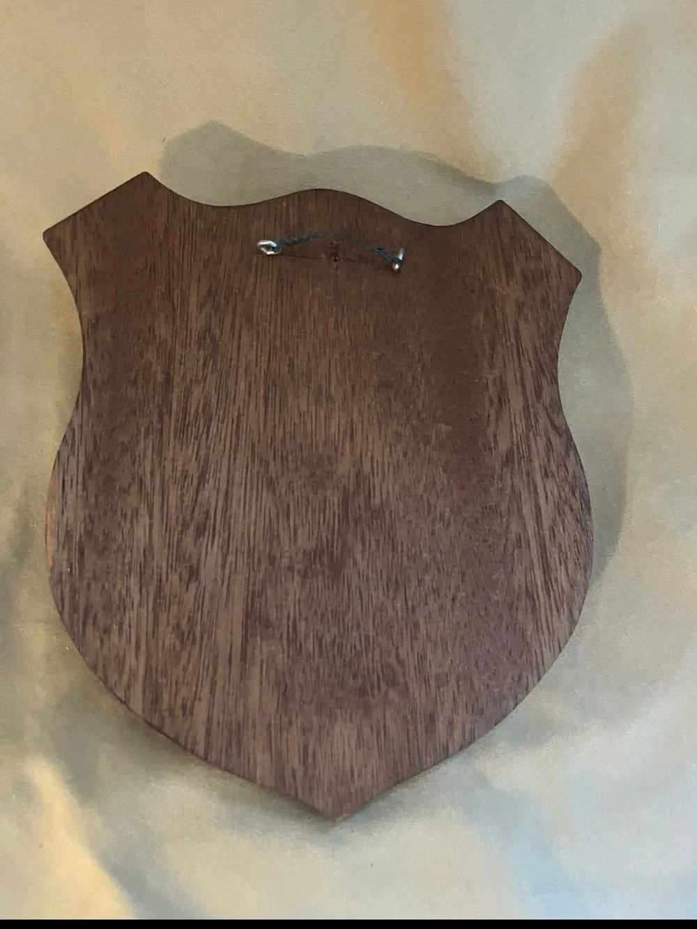 Vintage Marine Corps Atlantic Force Command Training Plaque